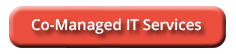 Co-Managed IT Serv Button